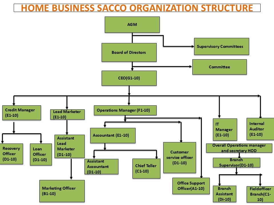 Organization Chart