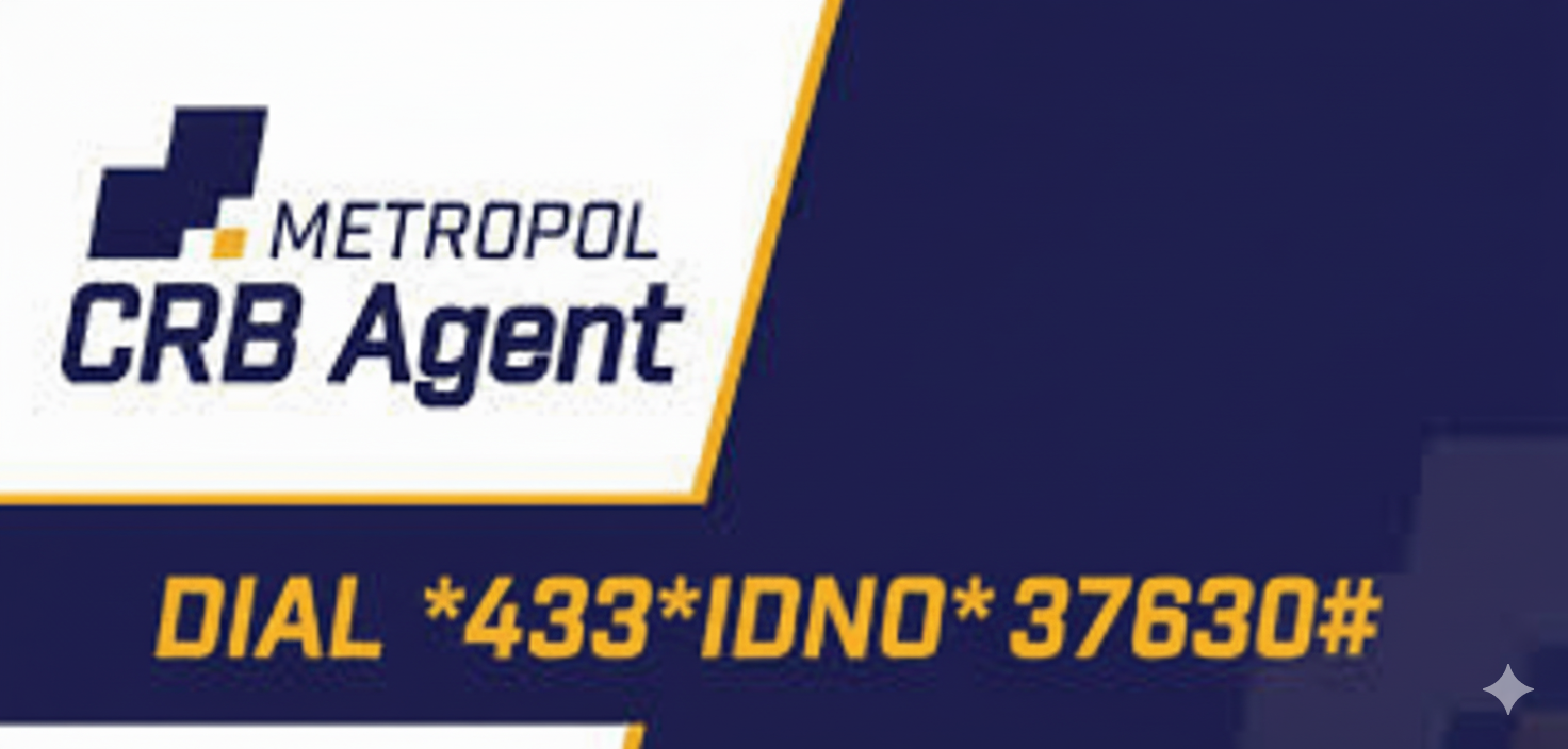 Metropol USSD Poster